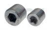 Adapters/Plugs - S/S Steel