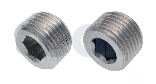 Nickel Plated Brass Int Hex Male Blanking Plug