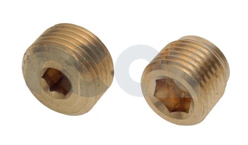 Brass Internal Hex Male Metric Blanking Plug
